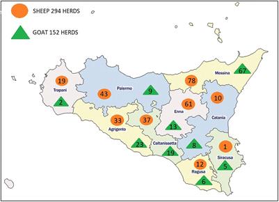 Large-scale serological survey on Mycobacterium avium subsp. paratuberculosis infection in sheep and goat herds in Sicily, Southern Italy